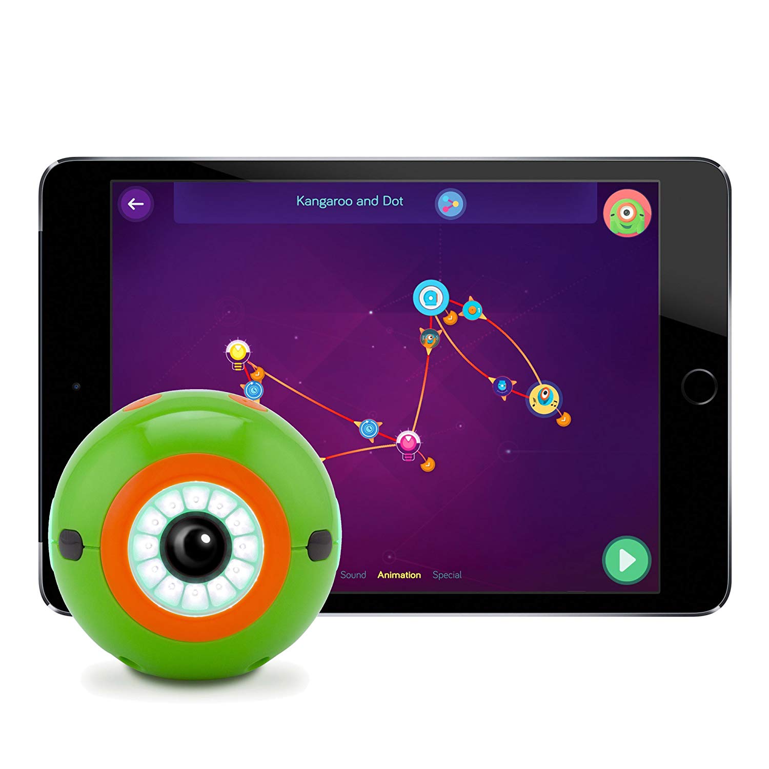 Dot Creativity Kit – Bild 4